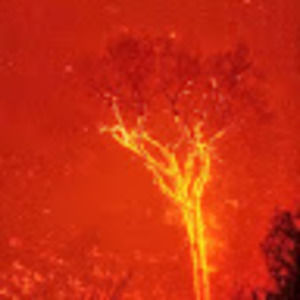 Meet your Posher, Paul